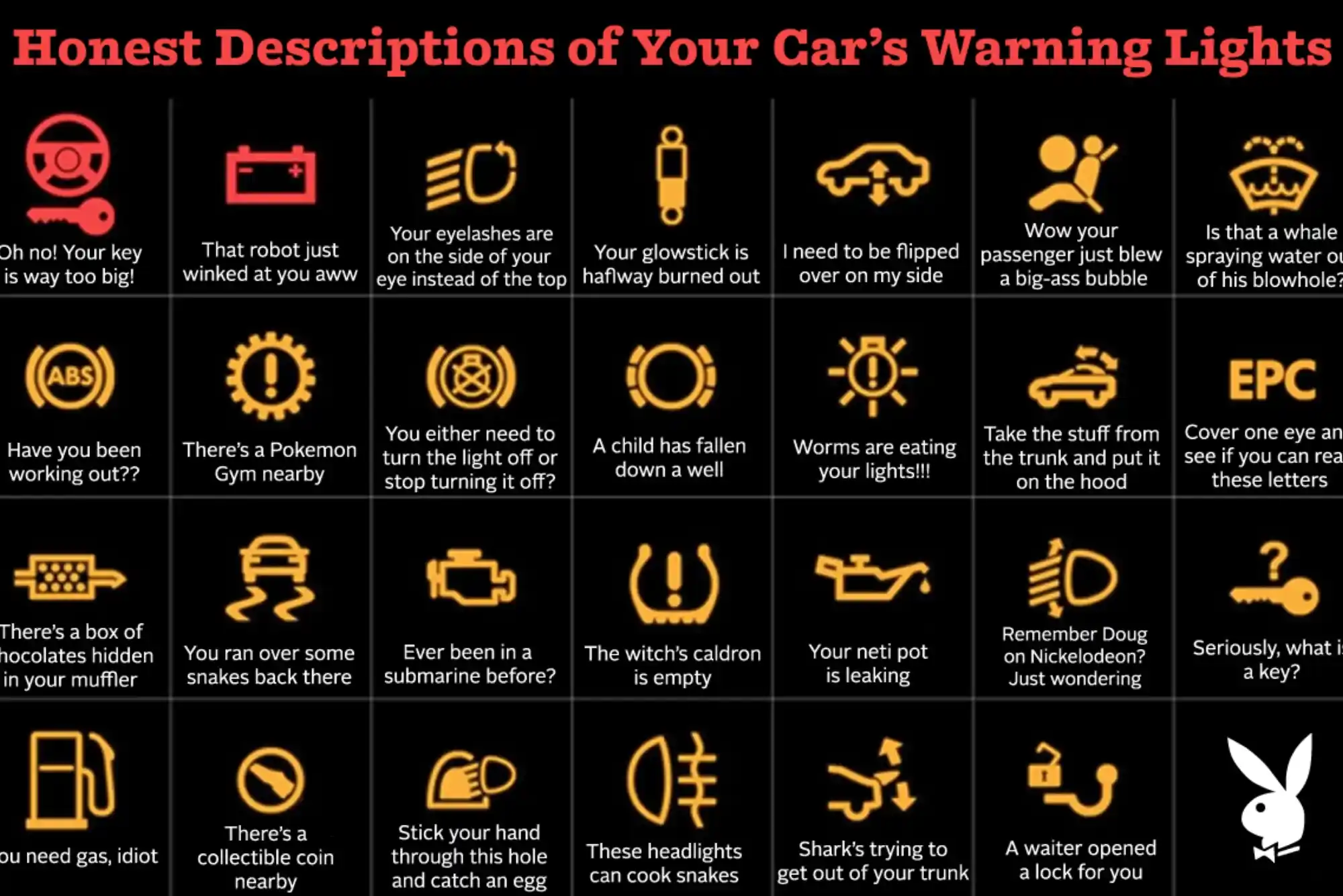 D1118 Meaning On Car Tags Meaning