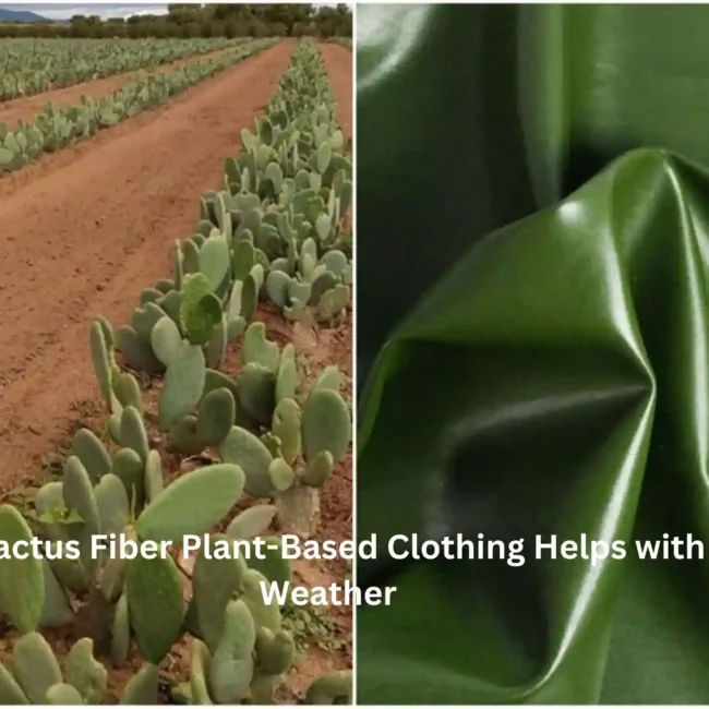 How Cactus Fiber Plant-Based Clothing Helps with the Weather