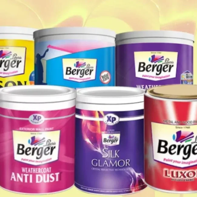 Berger Paints India Share price